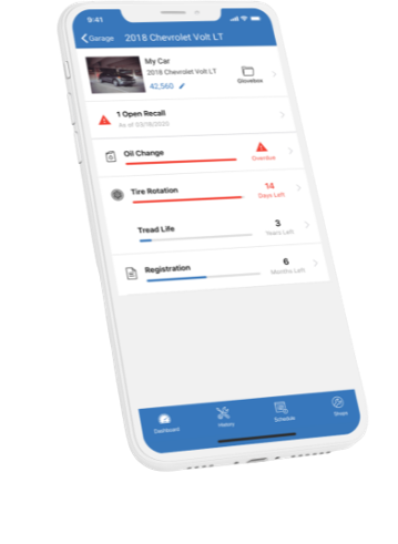 vehicle-report-phone-2